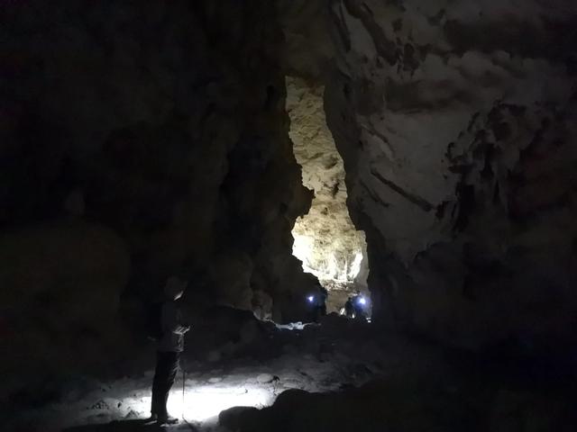 带小朋友去贵州茂兰,连环探洞加漏斗原始森林徒步二日游全攻略!