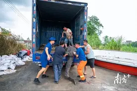 广东出逃鳄鱼已抓回58条！抓捕现场画面曝光：嘴被绑得死死的图片