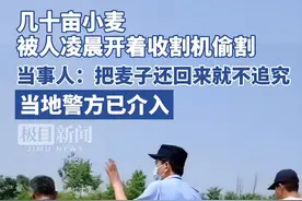 安徽盗割小麦后续：“贼”找到了！双方和解！盗割原因另有隐情图片