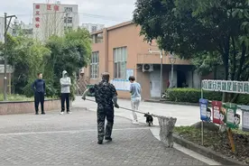 小区流浪狗“小黑”是怎样“入编”的？鹿城24小时应急处理“狗狗难题”图片