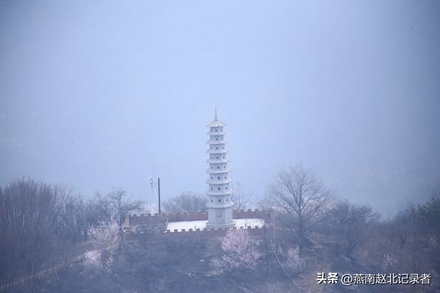 三月太行桃花开 九龙峡景区迎客来