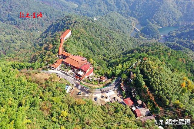 走过这条公路吗？宁波最美秋色路，又到绚烂时