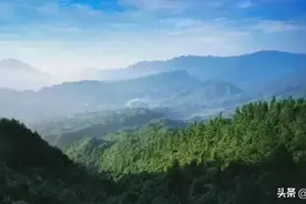 关于森林植被恢复费，你想知道的都在这里！图片