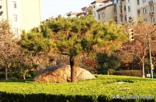 转了一个小圈·及其它