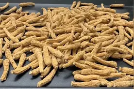 常喝西洋参虽好，但这2类人不宜服用，看看你在不在其中图片