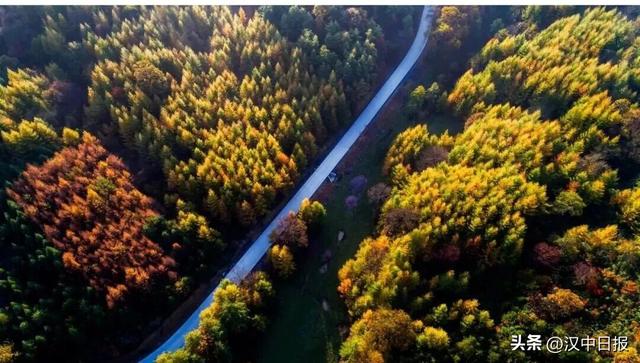 秋色浓度超标！汉中这座小城值得奔赴！