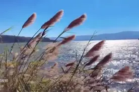 纯音汇 | 古琴《虛空望月》纯音乐 空灵唯美 太极瑜伽打坐禅修伴奏曲图片