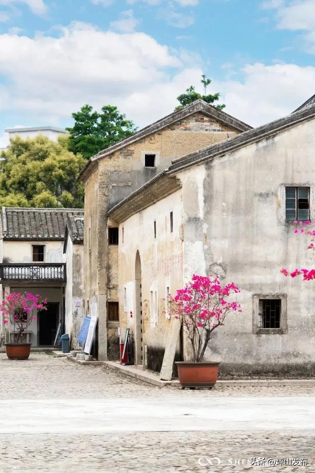 骑遇坪山① | 宝藏“高颜值”骑行线,拍出森系大片刷爆朋友圈