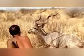 来自原始部落，为牛而战的田径冠军切鲁伊约特，多少带点传奇色彩图片