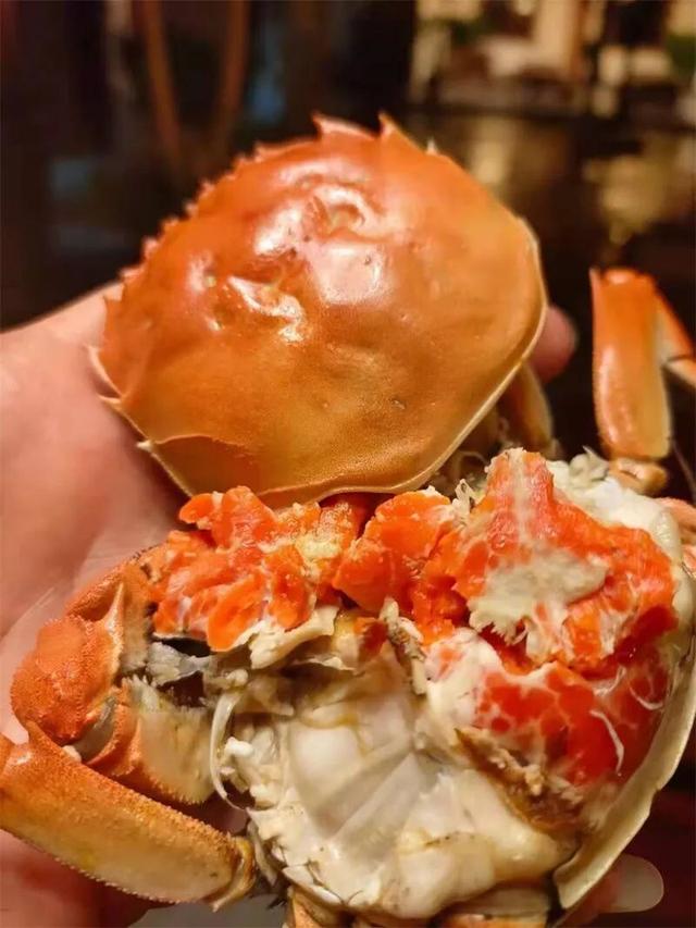 来红河，赴一场滇南最美乡愁之旅