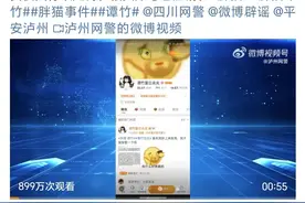 “胖猫跳江”事件后续，事情越来越抓马，看的人头疼图片