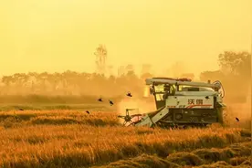 湖南省澧县历史沿革及行政区划图片