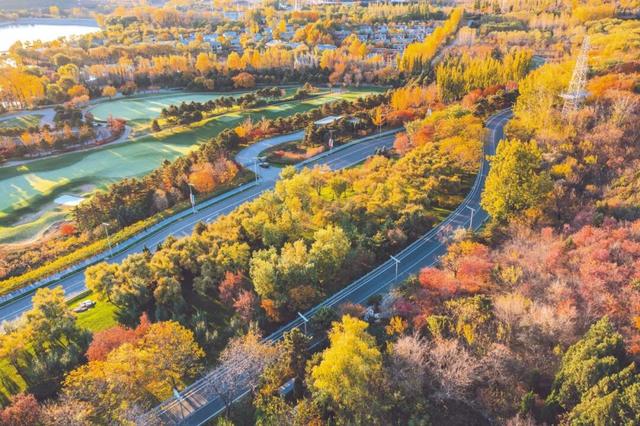 沿路骑丨栖湖崎路 栅梁寻幽
