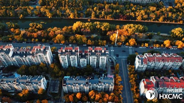 秋洒落的地方 藏着温柔与力量