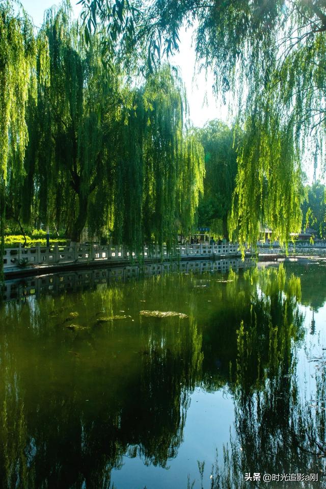 绿柳织帘，锁住亭台水影的温柔！
