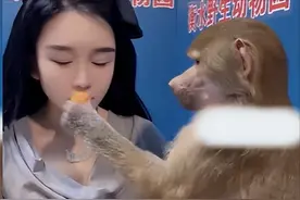 女子指使猴子给自己剥橘子嗑瓜子 双方全程无障碍交流 零度观点：猴子拉满的流量 是人与自然和谐的终极渴望图片