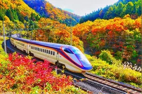 德国专家评价各国高铁：日本还行，法国优秀，中国却用了这4个字图片