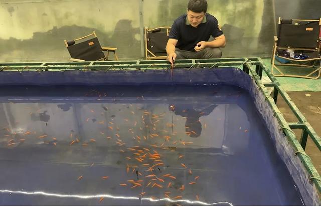 冬日遛娃无需远行,来紫谷萌宠乐园解锁超多趣味玩法!