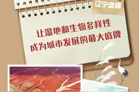 辽宁盘锦：让湿地和生物多样性成为城市发展的最大底牌图片
