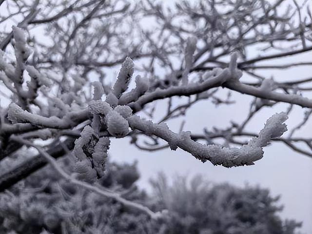 邂逅冬日美丽神话： 嵩山雾凇景观已惊艳上线