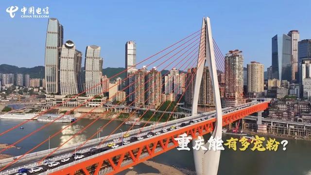好客山东VS宠粉重庆:山高水长 云聚四方