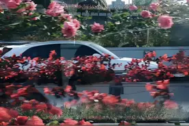 心不狠，就越惨，骂醒自己的文案!图片