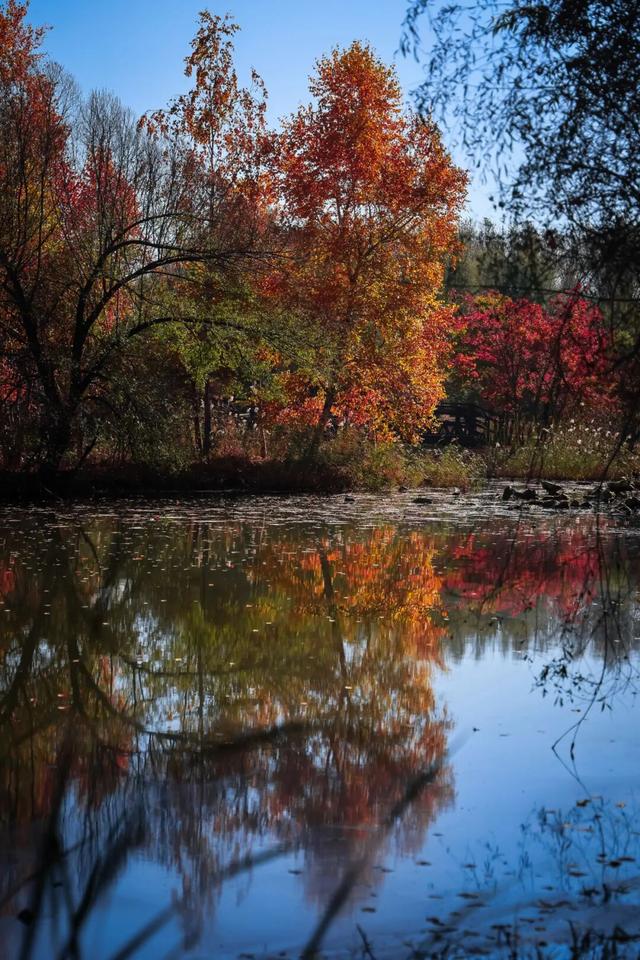 长春一5A级景区官宣：这些人免票！