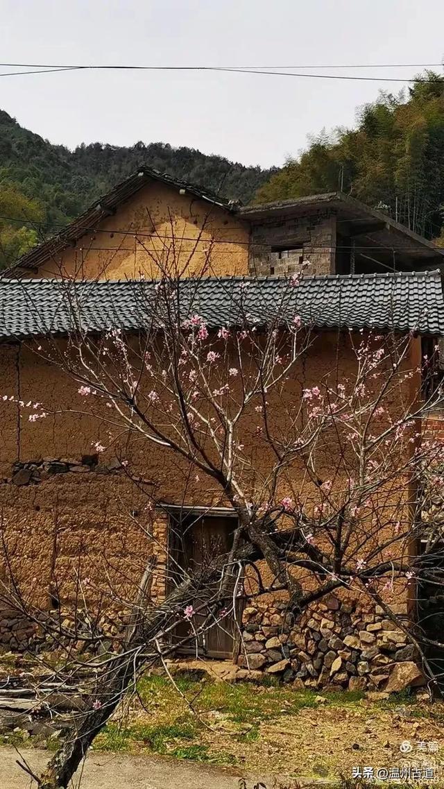 不用去西藏,仙居这里藏了个“布达拉宫”,夏日避暑静心好去处!