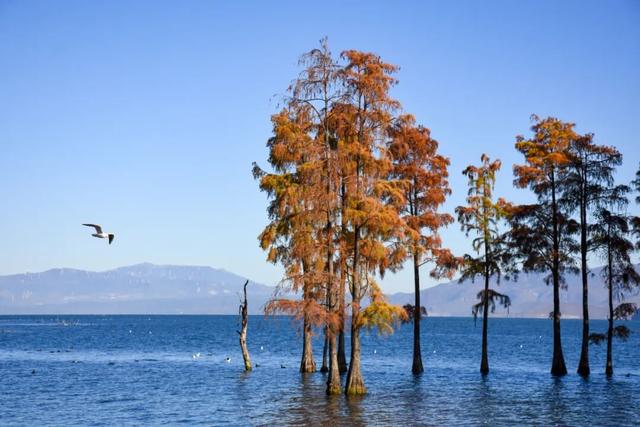 跟着滇超游大理，这4条线路超美！