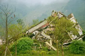 狗狗的异常行为：地震来临前的预警信号！图片