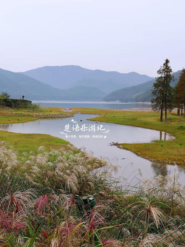 宁波这个新“阿泰勒”火了，游客络绎不绝，每人看了都会惊叹一声