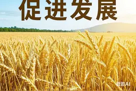 农业补贴每亩多少钱图片