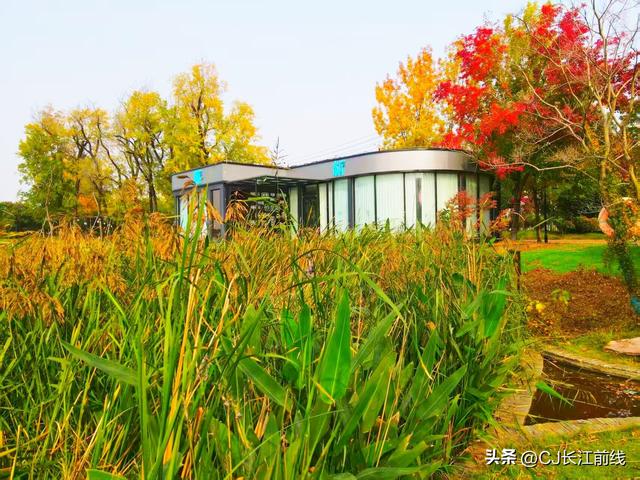 河南淮滨：金秋走读淮河展秀美