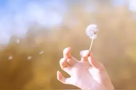 如果有一天，你发现父母不爱你，不要哭，不要闹，最好这样处理图片