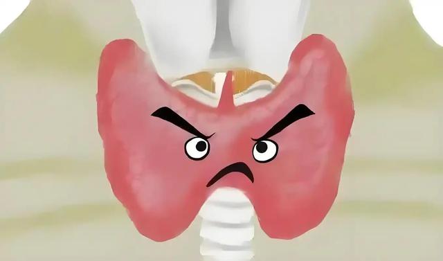 寿命长短,看脸就知道?寿命长的人,一般会有6个特征