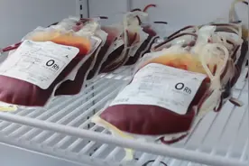 血型也有鄙视链？日本人为何如此看重血型？图片