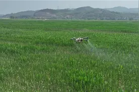 潞城区辛安泉镇：加快高标准农田建设 绘就农业现代化新画卷图片