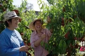 53岁的写诗农妇走红后帮全村卖桃，重启了自己的青春时代图片