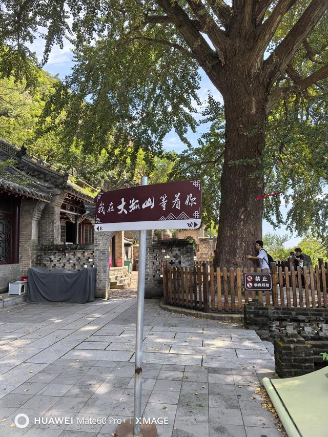 先爬大孤山，再登大鹿岛