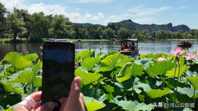 河北承德：盛夏时节荷花绽放 避暑山庄游人如织