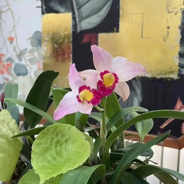 出门冻手冻耳朵！丰台室内去哪儿最温暖，戳——