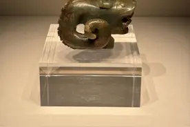 龙到底是什么？来看看龙的“来龙去脉”……图片