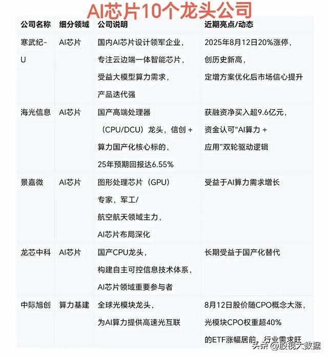AI芯片十大龙头企业盘点！