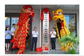 西凤酒借壳上市的潜在标的公司图片