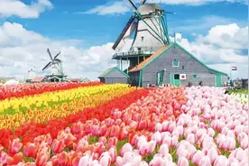 荷兰永居条件最新2024年图片