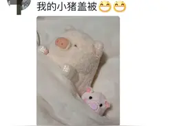 笑麻！中餐厅姜妍奥运主菜"小猪盖被"被各位网友模仿，评论区笑翻图片