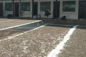 茶商不再存茶！2025年，又是茶农扛下库存压力！图片