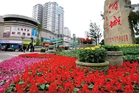 四川泸州，一个来了就想说再见的城市图片