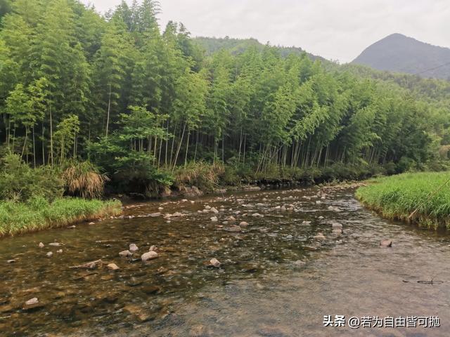 山水画中行：桐庐二日闲散游