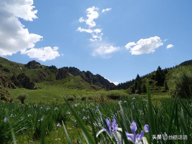 图集丨山丹湿地：生态画卷展绿意 飞鸟清波映蓝天